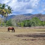 Eco-Luxury Living in Lombok: The Future of Sustainable Real Estate