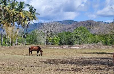 Eco-Luxury Living in Lombok: The Future of Sustainable Real Estate