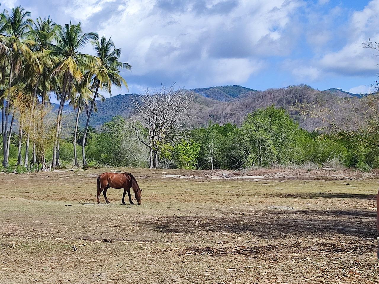 Eco-Luxury Living in Lombok: The Future of Sustainable Real Estate