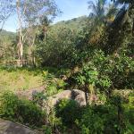 Land in Hill area in Kerandangan, West Lombok