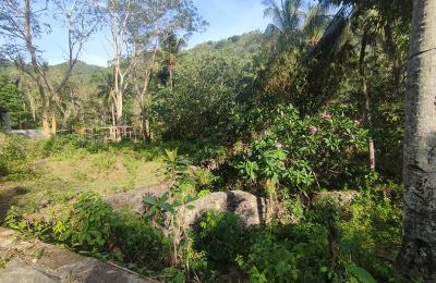 Land in Hill area in Kerandangan, West Lombok